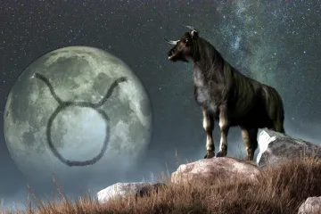 Vikend horoskop, Bik, 26. i 27. 11.2022.