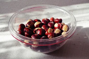 Ideja i recept za ukusne kolače sa kesten pireom