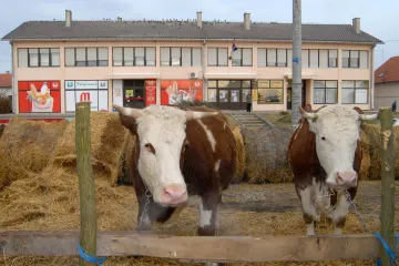 Na ideju o spajanju općina javila se jedna od njih 428, no sve bi zbog fotelje mogao zakočiti HDZ-ov načelnik