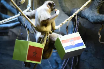 Gibon Kent prognozirao tko će odnijeti broncu: 'Bilo je dosta kontroverzi u javnosti oko njegovog zadnjeg izbora'