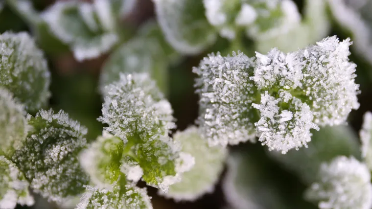 Ni&scaron;ta od snijega za Božić? Vrijeme se stabilizira, a pred blagdane rastu i temperature