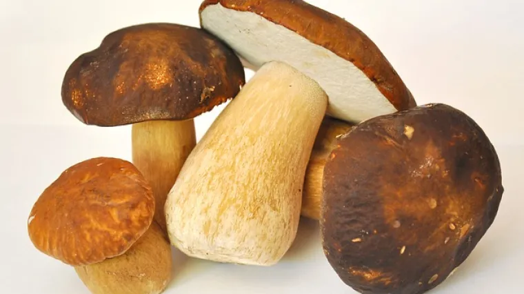 Gula&scaron; od gljiva i krumpira - recept i priprema