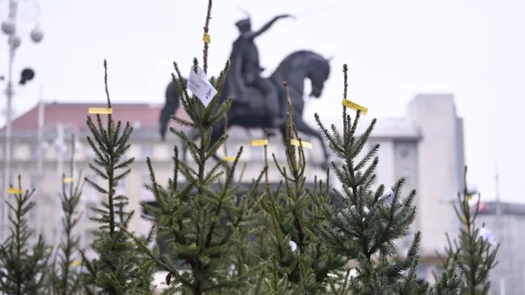 U božićnom tjednu dosta oblaka, ali postupno sve toplije. Na Badnjak moguća ki&scaron;a
