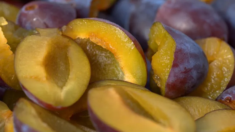 Kako pripremiti prhko tijesto i nadjev za tart sa &scaron;ljivama?