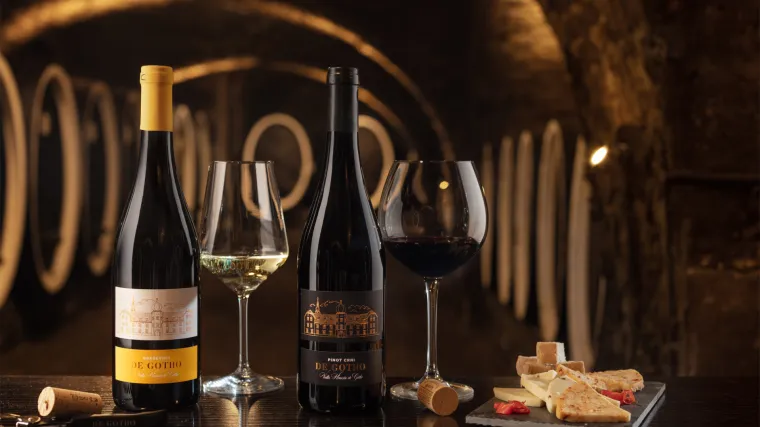 Idealna vina vinarije Kutjevo za nadolazeće blagdane