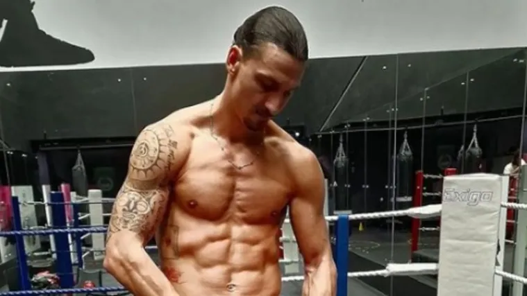 Ibrahimović na Instagramu: 'Sretan Božić vama i va&scaron;im suprugama'