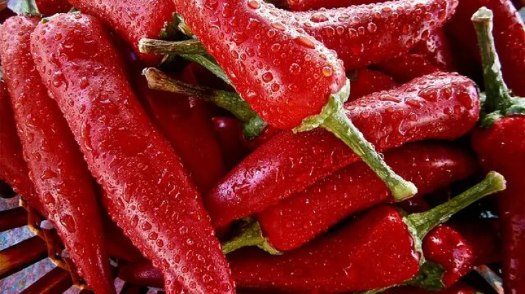 Paprika na žaru prilog koji će vas odu&scaron;eviti