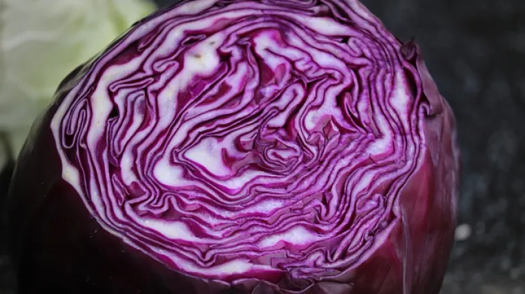 Crveno zelje na salatu - recept i priprema