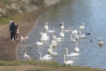 U nekim dijelovima Hrvatske danas bi moglo pasti malo kiše, ali i dalje toplo za ovaj dio godine