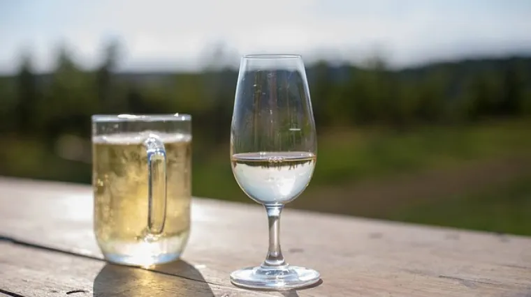 Koje je značenje suhog vina? Koje su osnovne karakteristike suhog vina?