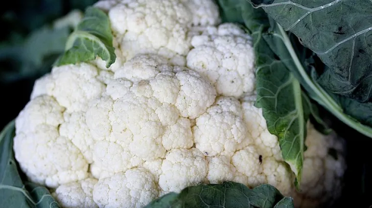 Recept kako se priprema ukiseljena cvjetača