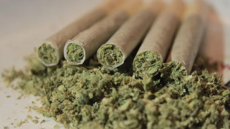 Njemačka najavljuje legalizaciju marihuane, a jedan od zagovornika prije par dana pozirao s Plenkovićem: Hoće li i kod nas biti legalna?