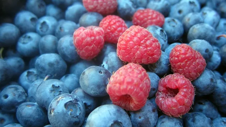 Kako se radi preljev od &scaron;umskog voća sa želatinom?