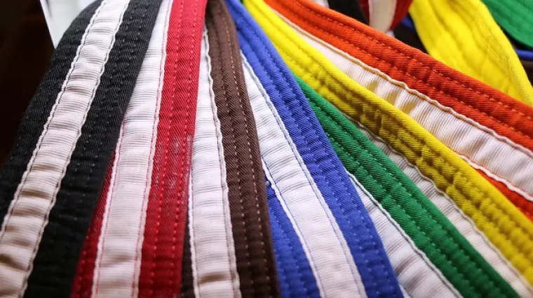 Koja su osnovna pravila za savate boks?