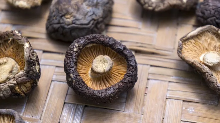 Kako se pripremaju shiitake gljive s jajima?