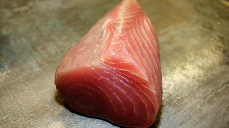 Pljeskavice od tune poslužite za ručak i uživajte