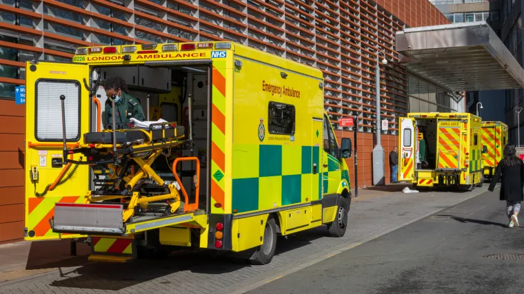 Pas u dvori&scaron;tu izgrizao četverogodi&scaron;njakinju. Umrla je od ozljeda