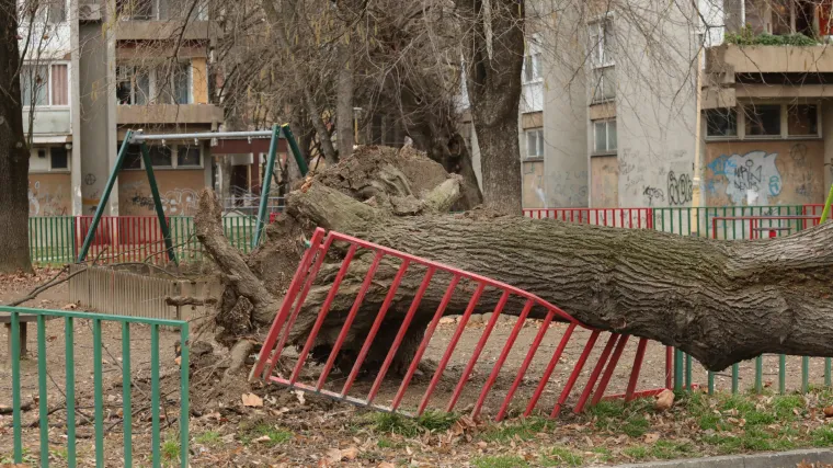 Nije gotovo! DHMZ i za nedjelju upalio crveni i narančasti meteoalarm zbog vjetra