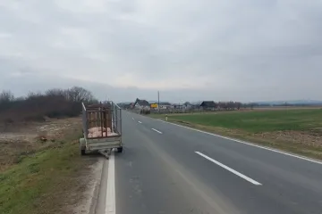 Što se krije iza fotografije napuštenih prasaca kod Slatine? Sve se odigralo u pet minuta