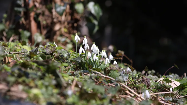Na Jadranu i u gorju promjenjivo. Može biti sumaglice ili magle, a potom južina