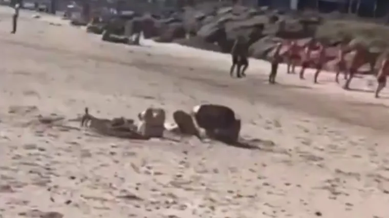 Par uhvaćen u 18+ akciji na plaži: Ali nisu u oni u nevolji, nego tip koji ih je snimio u vrućem trenutku