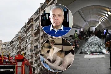 Džej je pas ukrajinskog profesora: 'Kada su eksplozije odlazi u kupaonicu i trese se': Kamenjecki otkrio kako su mu pomogli hrvatski novinari