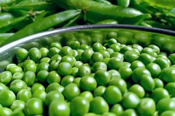 Recept za glavno jelo kotleti u umaku od gra&scaron;ka