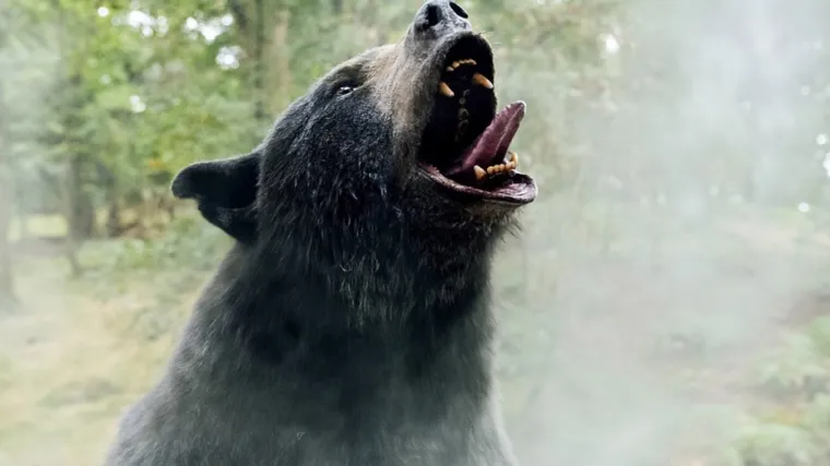 Svi pričaju o medvjedu na bijelom, a proma&scaron;ili su pravo značenje: Alegorija je to o Kremlju natopljenom američkim kokainom