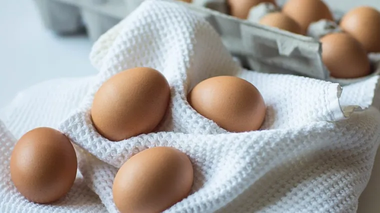 Recept za najbolju domaću majonezu