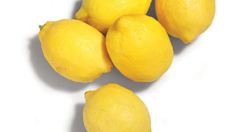 Krema od limuna i pudinga - recept i priprema