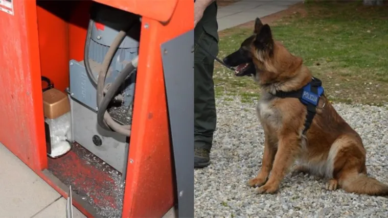 FOTO Skrivao drogu u stroju za tokarenje, a onda je stigla belgijska ovčarka Loka i strpala ga u zatvor