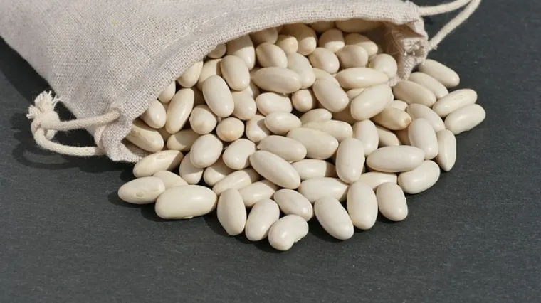 Koji je najbolji omjer graha i vode?