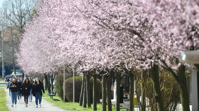 Prvi dan proljeća u znaku razvedravanja: Idućih dana stiže jo&scaron; toplije vrijeme