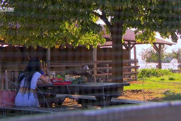 POSLUŠAJTE TAJNI RAZGOVOR DRAGANE I SUZANE O TOME KAKO ELIMINIRATI NOVU DJEVOJKU! 'Idem mu večeras u krevet'