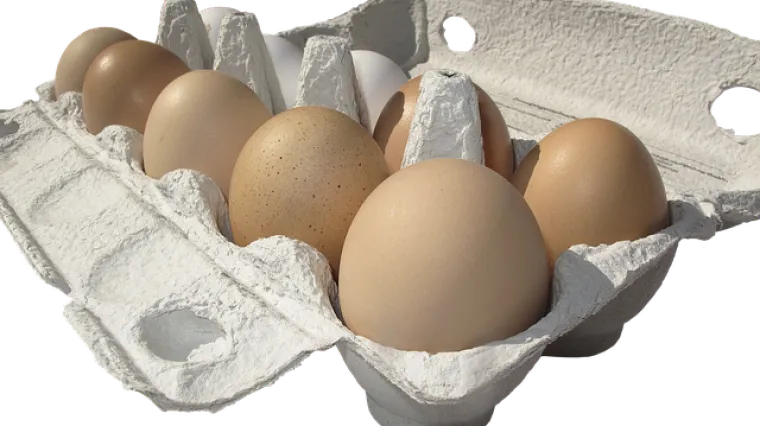 Recept kako se priprema pohana salama