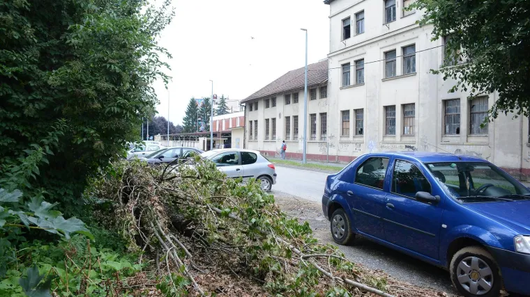 Nevrijeme pogodilo sisačko područje: Vjetar oborio stabla, o&scaron;tećeni auti a do&scaron;lo je i do kvarova na električnoj mreži