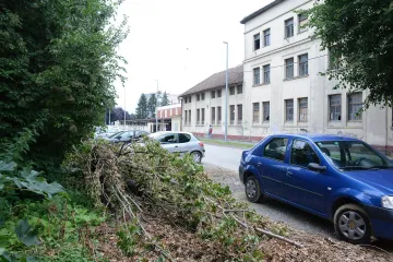 Nevrijeme pogodilo sisačko područje: Vjetar oborio stabla, oštećeni auti a došlo je i do kvarova na električnoj mreži