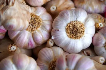 Umak od maslinovog ulja i češnjaka - recept i priprema