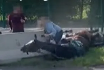 Šokantna snimka: Konji bez jahača pali u punoj brzini, naletjeli na ženu i zgnječili joj nogu uz betonsku ogradu