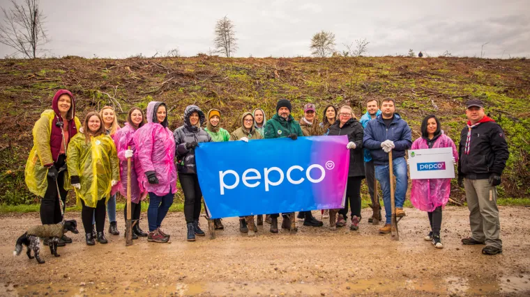 Pepco po&scaron;umio Hrvatsku s 3000 novih stabala