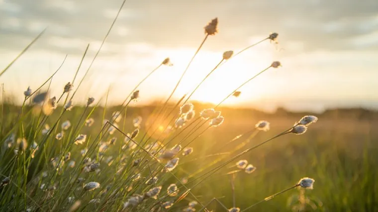 Osnovne karakteristike i zanimljivosti nacionalnog parka - Brijuni