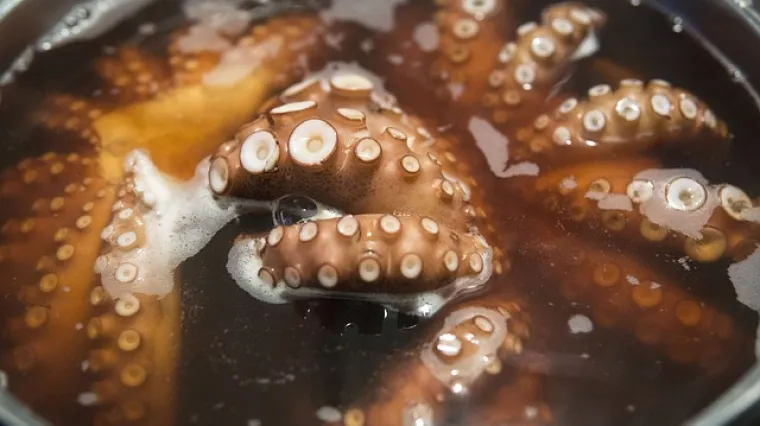 Recept kako se pripremaju smrznuti krakovi hobotnice