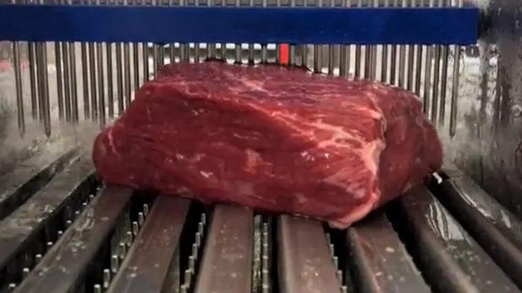 Snimka kako se injekcijama 'napumpava' sirovo meso zgrozila je sve, ali stručnjaci tvrde: 'To je dopušteno'
