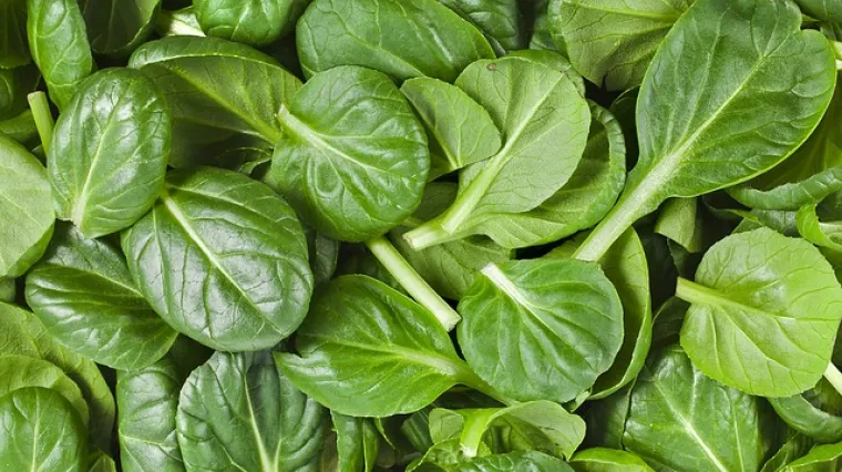 Recept kako pripremiti nafiniji &scaron;pinat za prilog