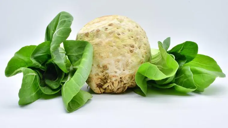 Recept kako napraviti ukusnu kremu od celera