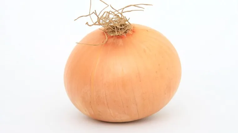 Marmelada od crvenog luka - recept i priprema