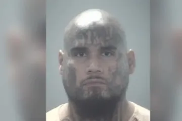 Stravično ubojstvo: Raskomadao dostavljača hrane, pa dijelove tijela bacio u smeće