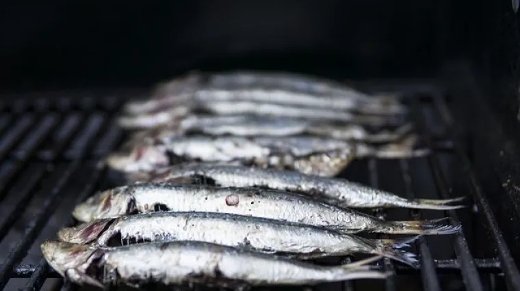 Praktični savjeti kako se pravilno frigaju srdele