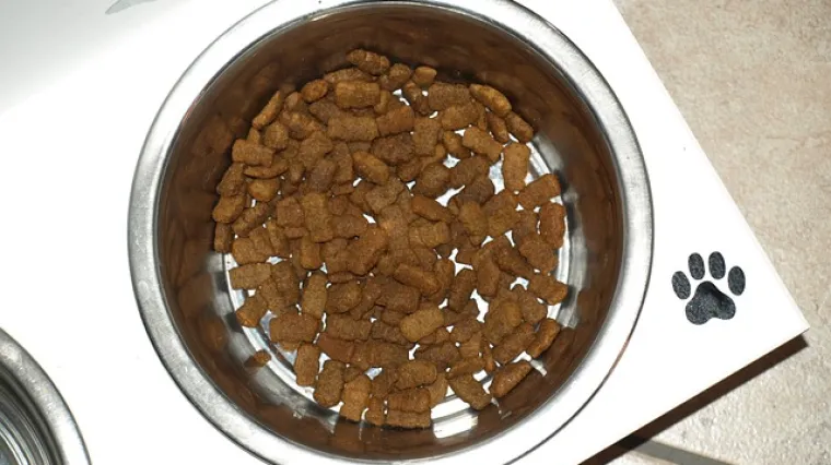 Prirodni keksi za pse - recept i priprema