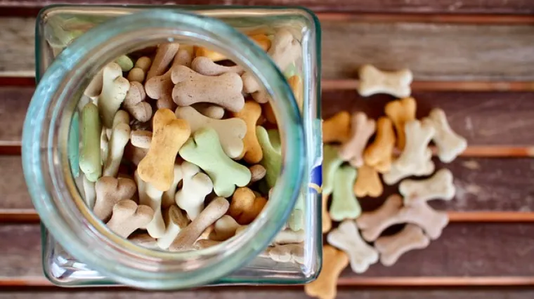 Recepti i ideje kako pripremiti slastice za pse kod kuće